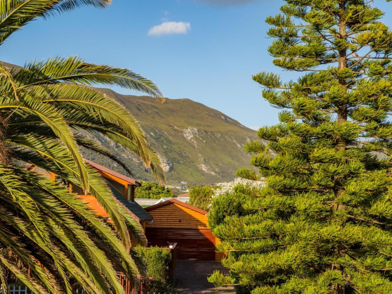 Two Palm House - Vermont Hermanus Zimmer foto