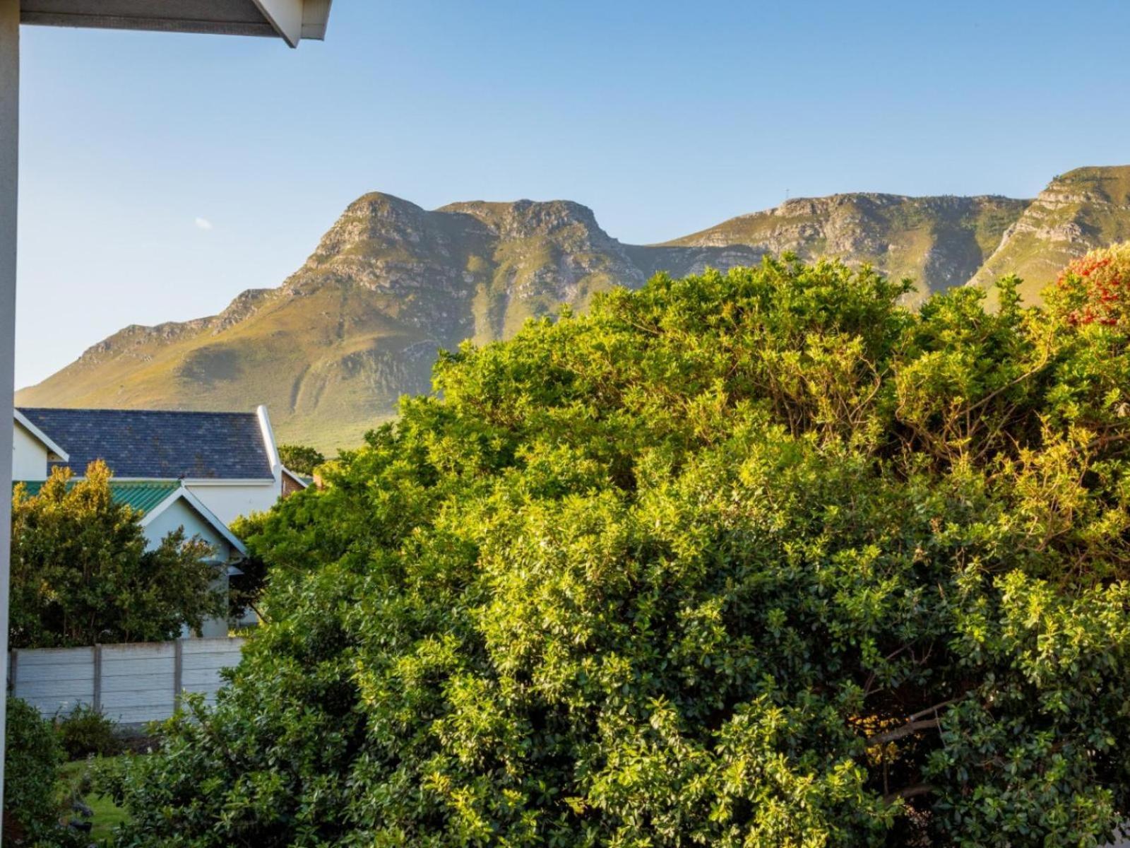 Two Palm House - Vermont Hermanus Zimmer foto