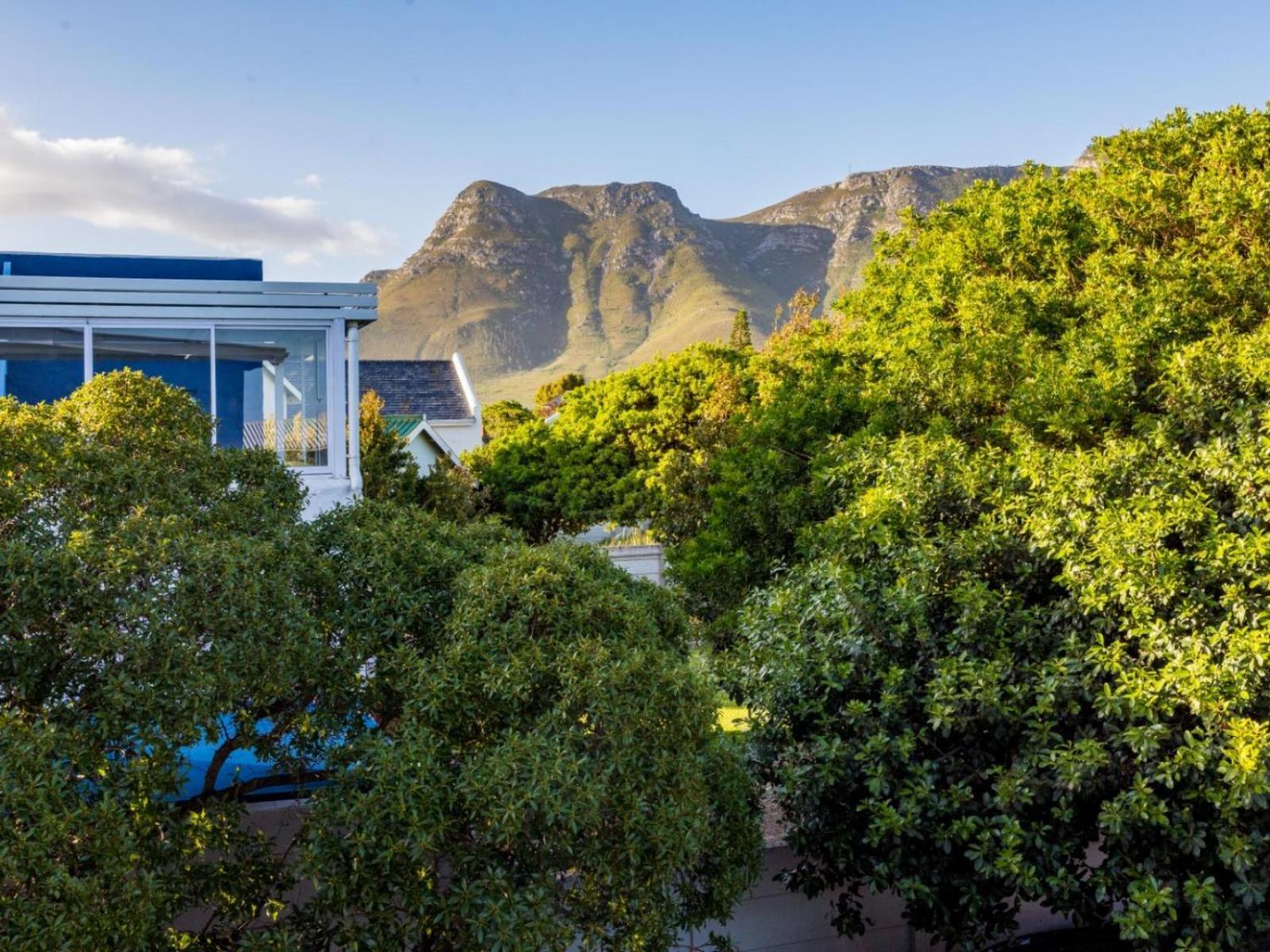 Two Palm House - Vermont Hermanus Zimmer foto